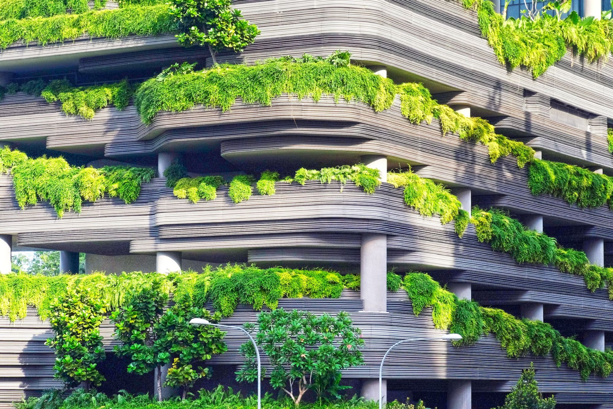 Green Facade Architecture